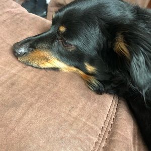 Meet your Posher, Lindsay